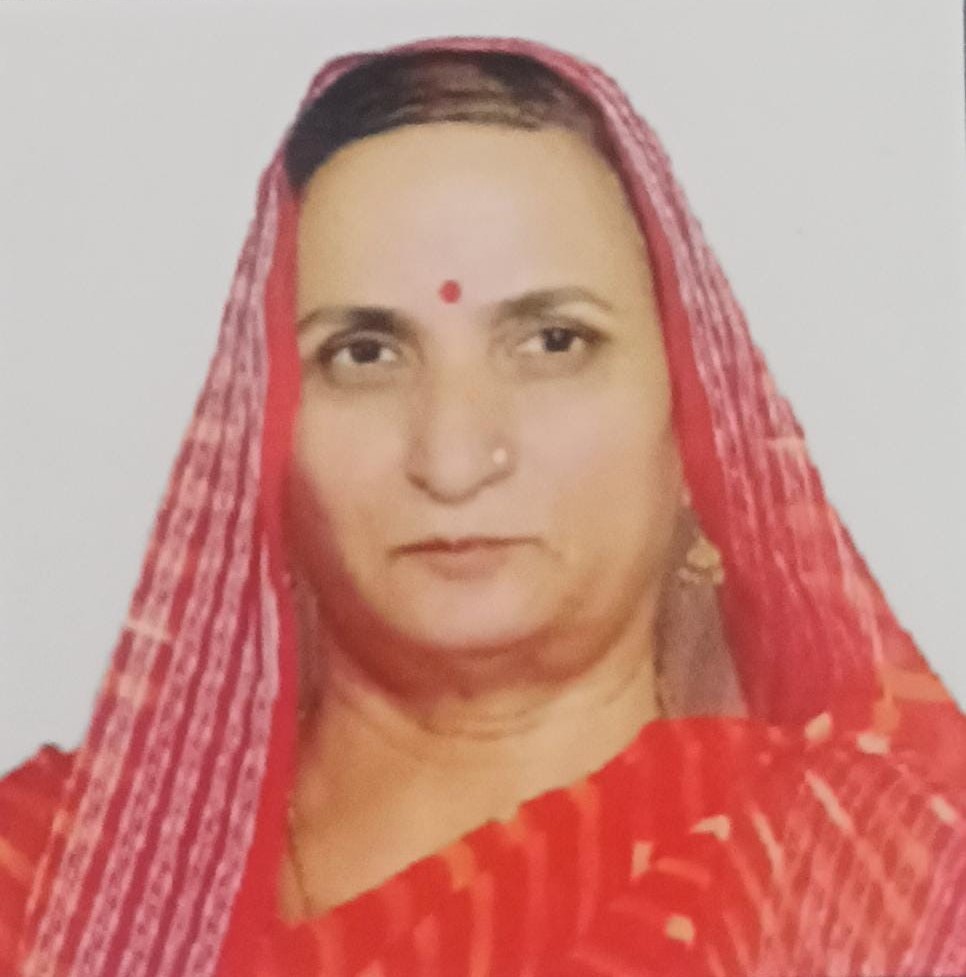 Himmatasar Village (Nokha, Bikaner, Rajasthan) – Population 2011 ...